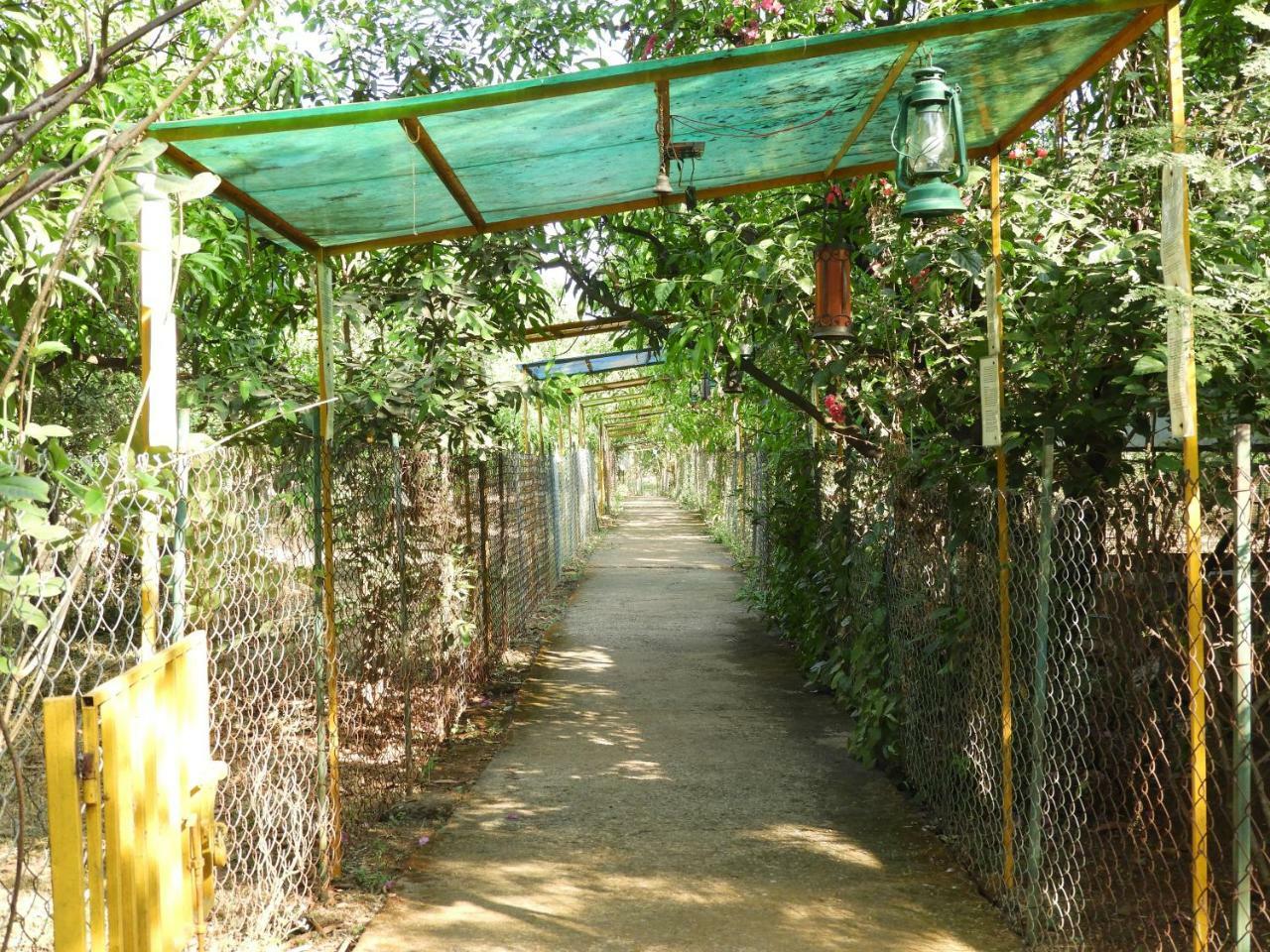 Dirghayu Farms Agri Resort Pvt Ltd Atgaon 외부 사진